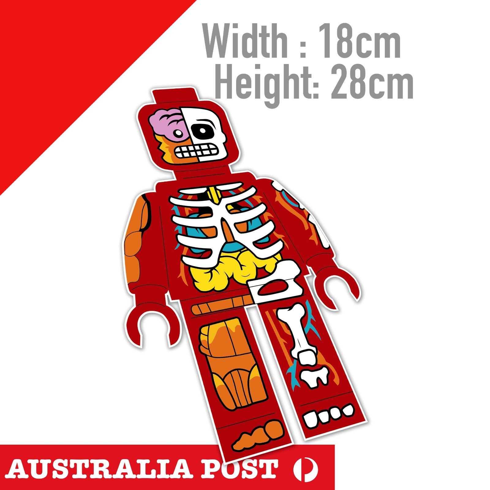 Lego Human anatomy Funny  Lego Large Sticker