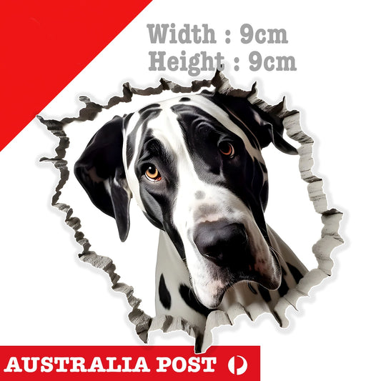 Great Dane Dog Funny Coming through Wall , Animal Dog Sticker