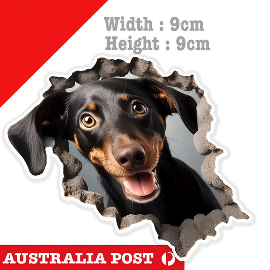 Dachshund Funny Coming through Wall , Dachshund  Dog, Animal Dog Sticker