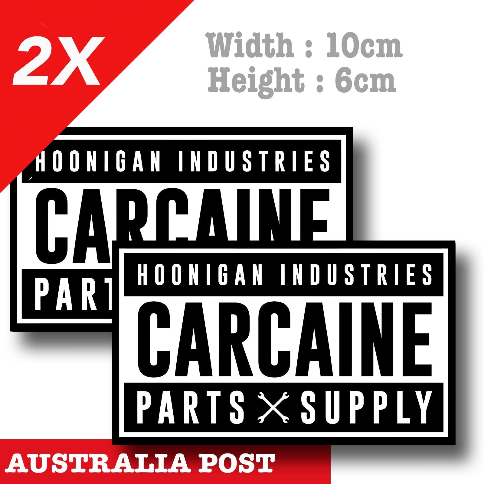 HOONIGAN CARCAINE PARTS SUPPLY STICKER x2 Ken Block 43 Logo Sticker