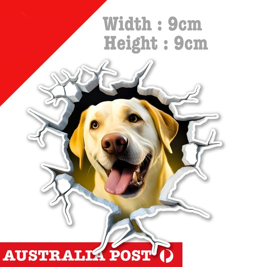 Labrador Funny Coming through Wall , Animal Sticker