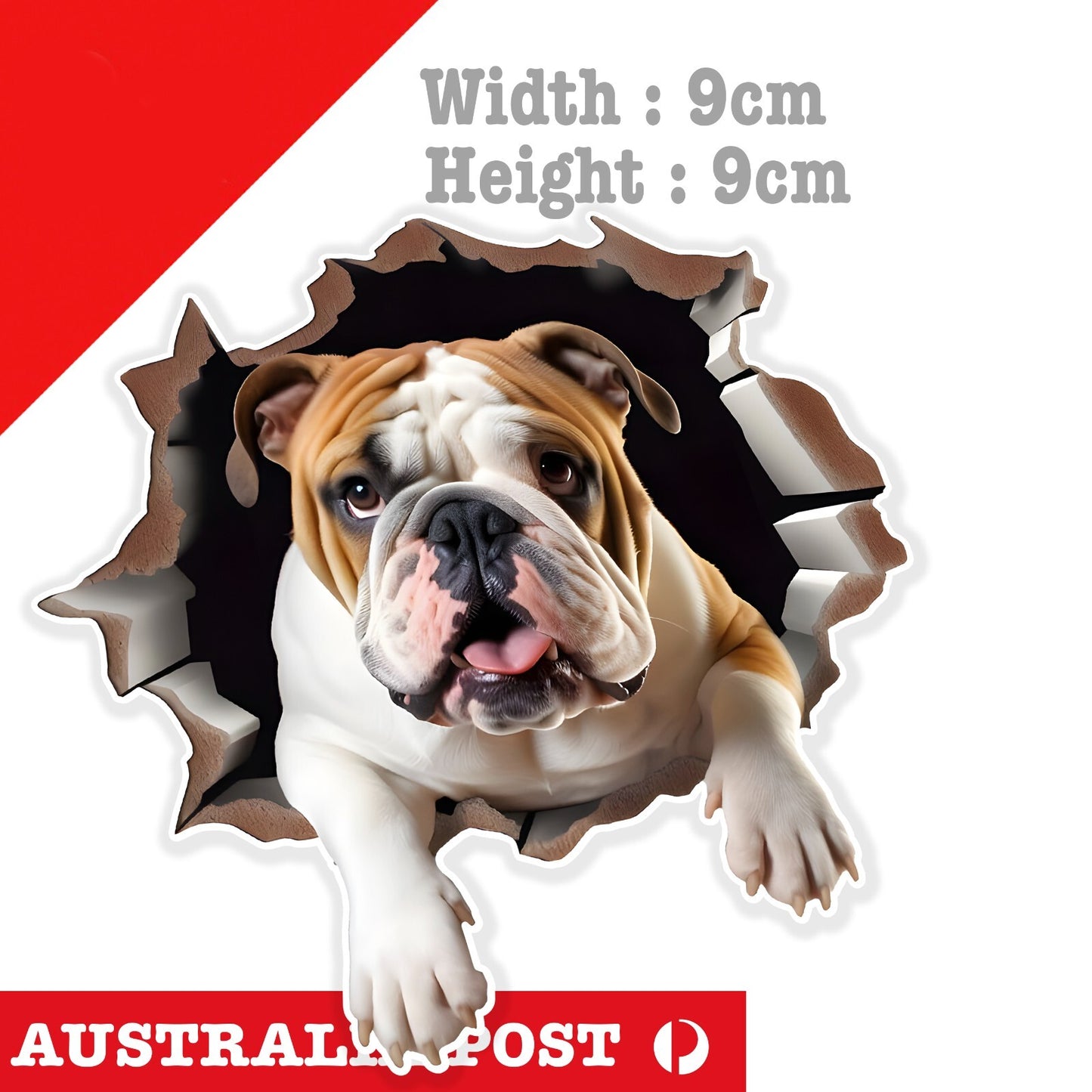 British BullDog Funny Coming through Wall , Animal Sticker