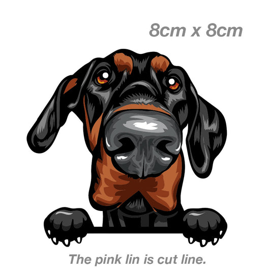 Smiling Dobermann Dog Breed Bumper Sticker Laptops Tumblers Windows 