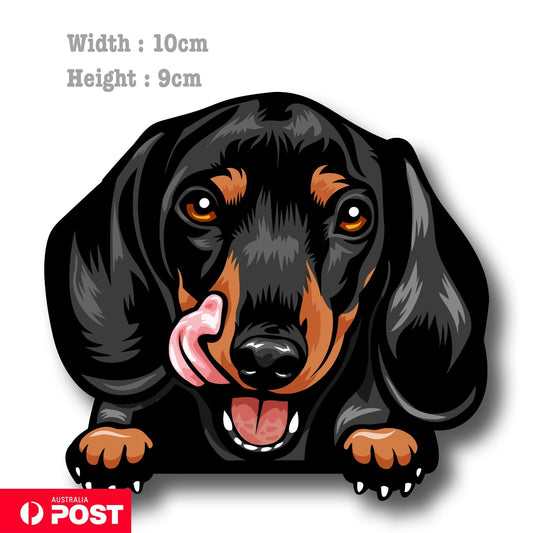 Smiling Dachshund Dog Breed Bumper Sticker Laptops Tumblers Windows 