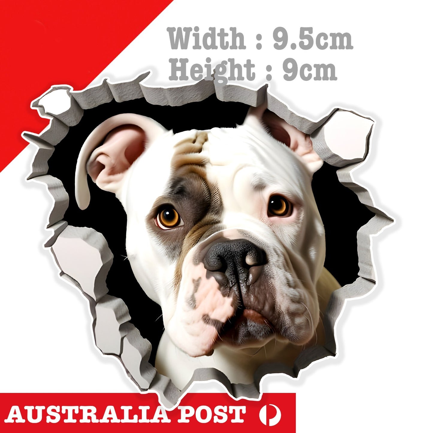 BullDog Funny Coming through Wall , Animal Dog, Black and White BullDog Sticker