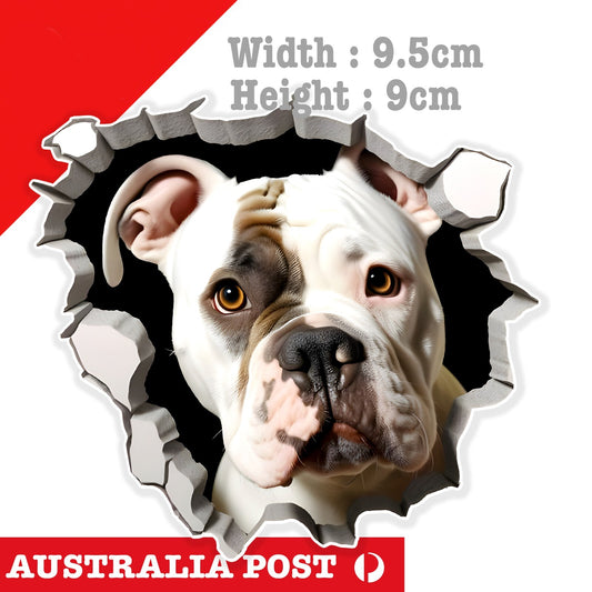BullDog Funny Coming through Wall , Animal Dog, Black and White BullDog Sticker