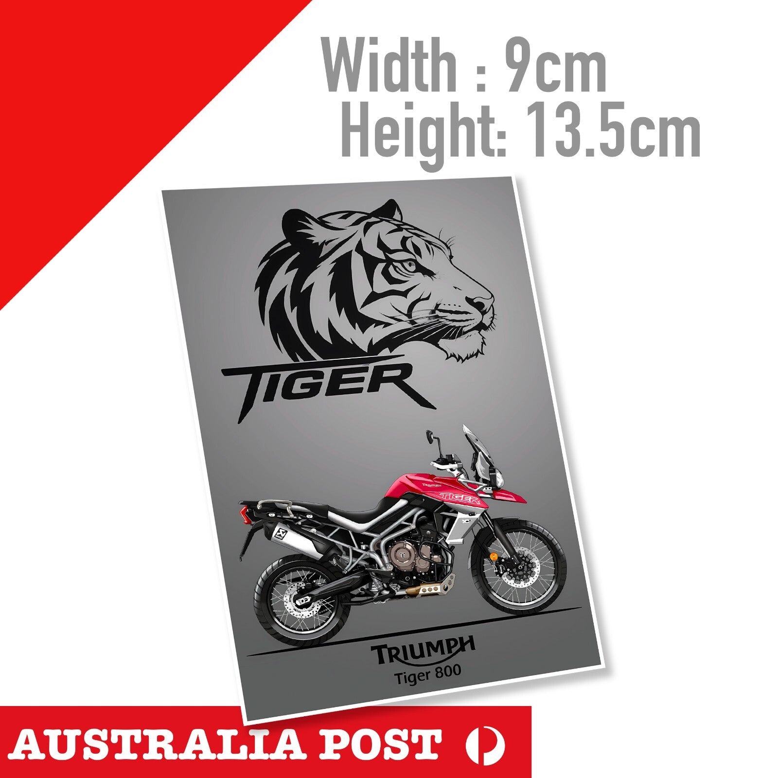 Triumph Tiger 800 Bike, Motorcycle, Helmet MotoGp Sticker