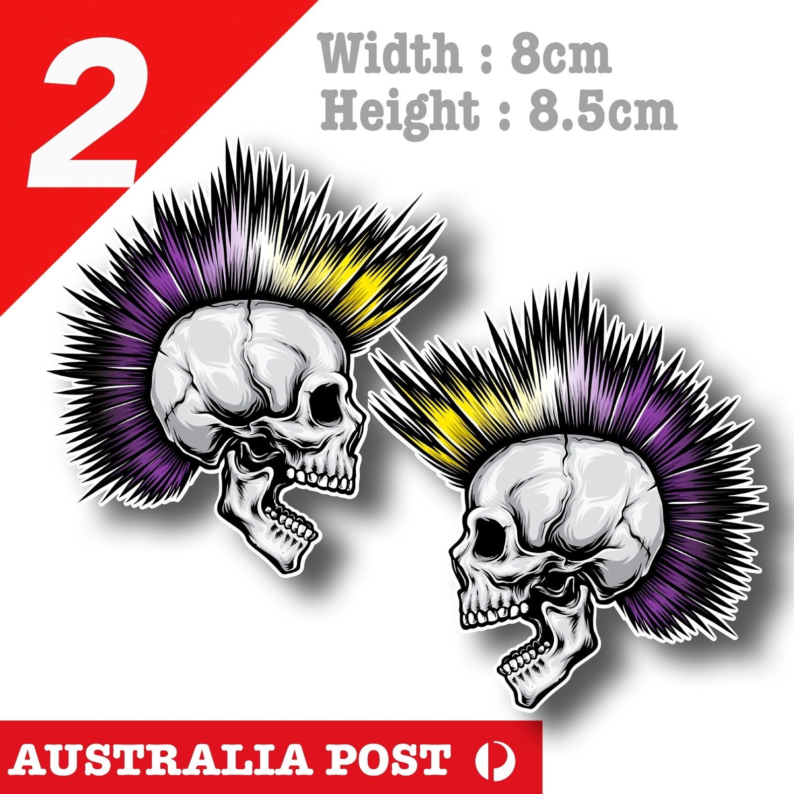 SKULL PUNK with Mywhak, Motorcycle, Car, Truck, Laptop, Ute Stickers