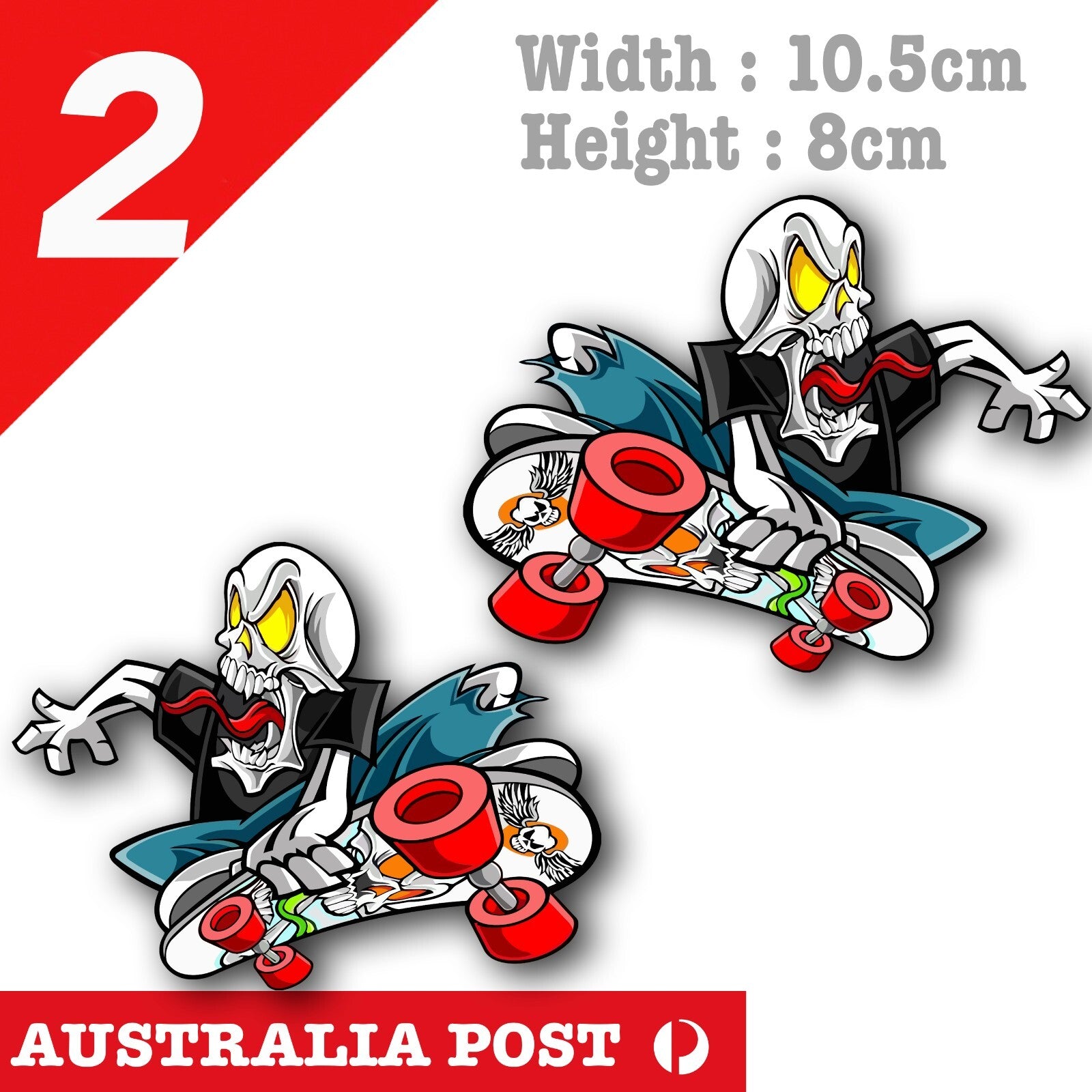 Skull Skate Border, Skateboard , Skull, SANTA CRUZ Skateboard Sticker