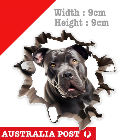 PitBull Funny Coming through Wall , Animal Dog Sticker