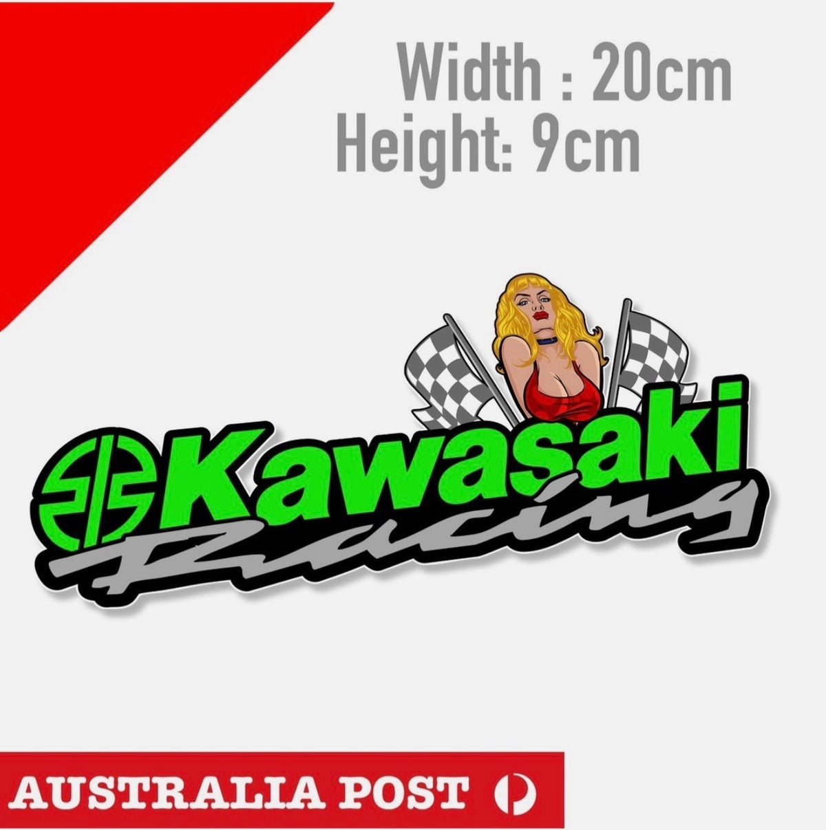 KAWASAKI RACING Banner Motorcycle Sexy Blonde Pin Up Racing Bi Sticker