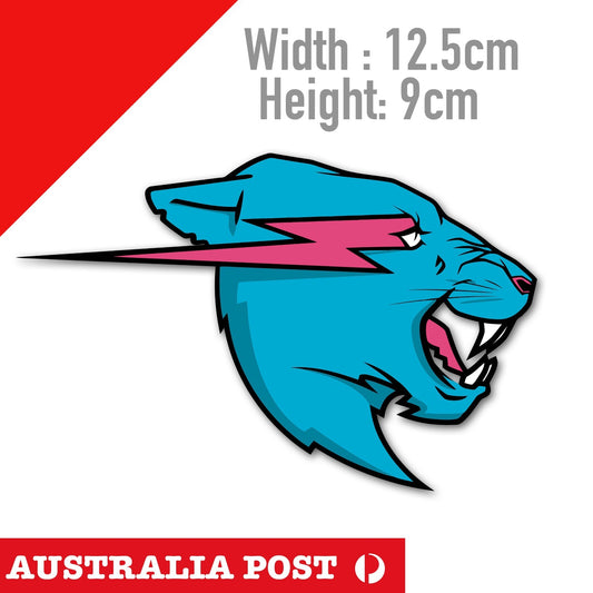 Mr BEAST logo Tiger Decal Sticker 