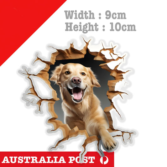 Golden Retriever Funny Coming through Wall , Animal Sticker