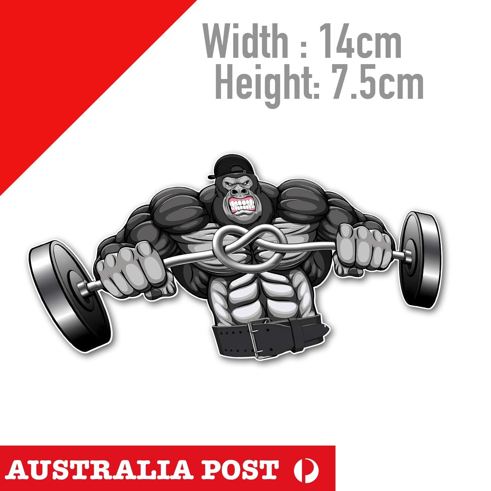 Gorilla GYM Barbell  Laptop , Car  Decal  Sticker