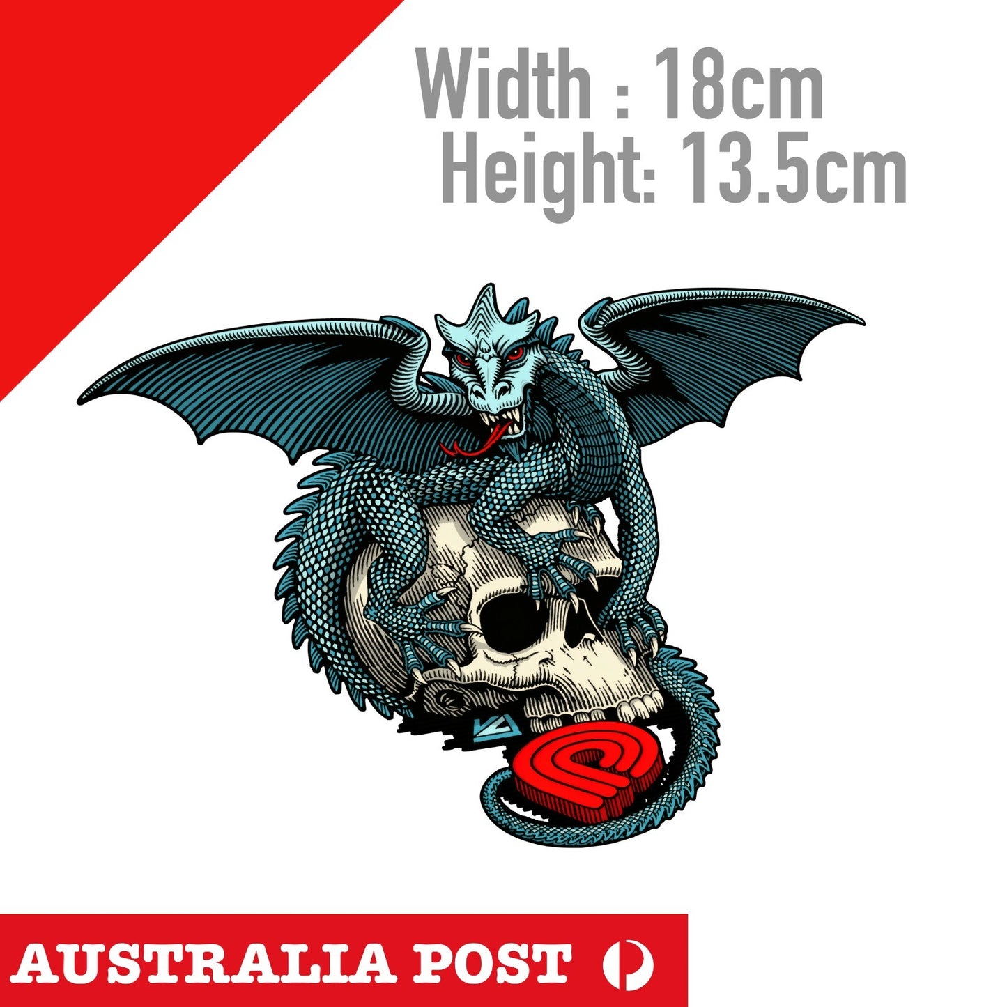 POWELL PERALTA DRAGON Skull Head  - Skateboarding DRAGON  & SKULL  Sticker