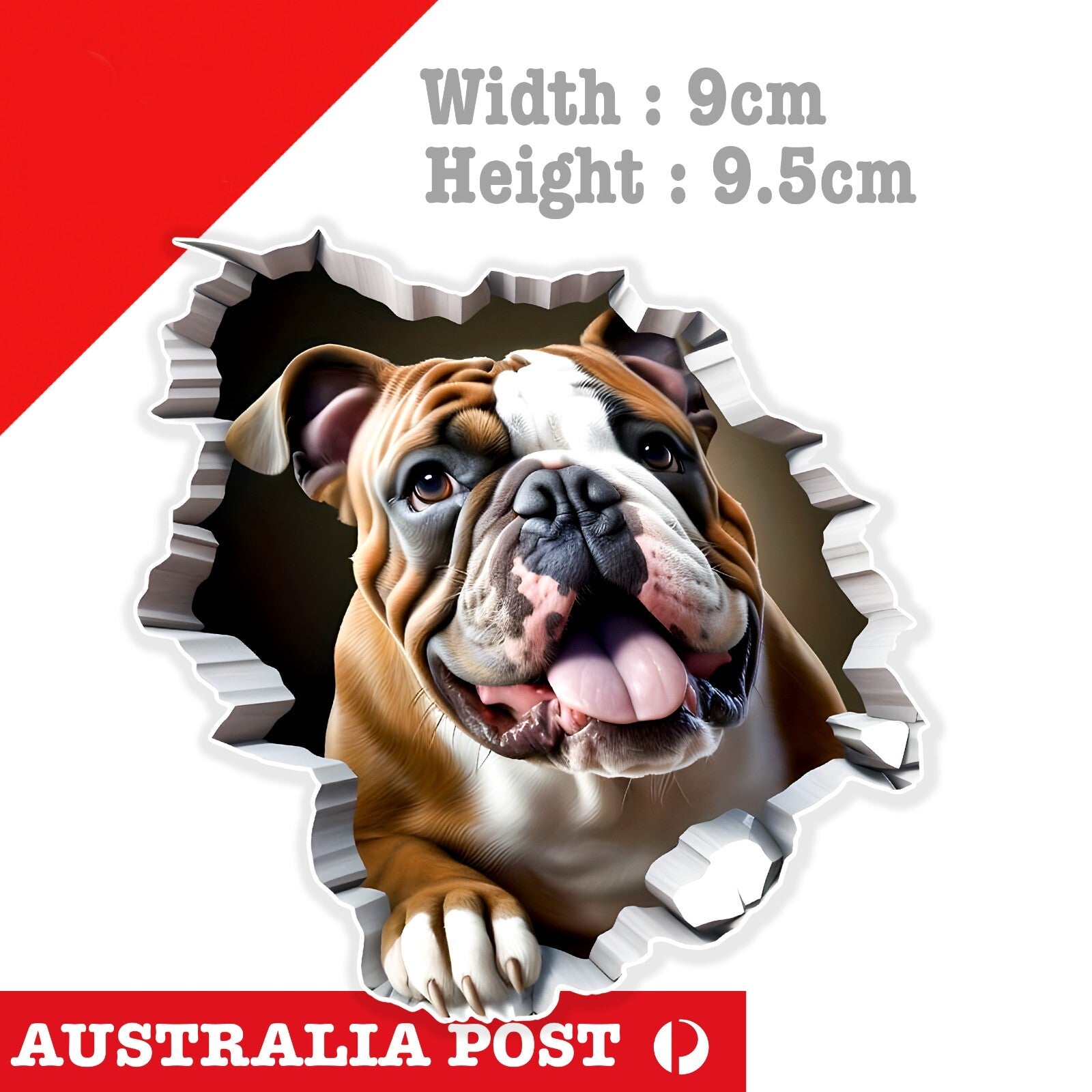 BullDog Funny Coming through Wall, Animal, Bull Dog , Window Sticker