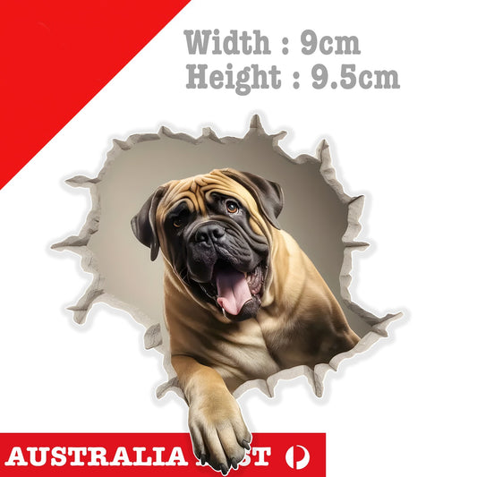 English Mastiff Funny Coming through Wall , Animal Sticker