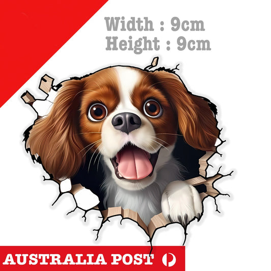 Cavalier Funny Coming through Wall , Animal Sticker