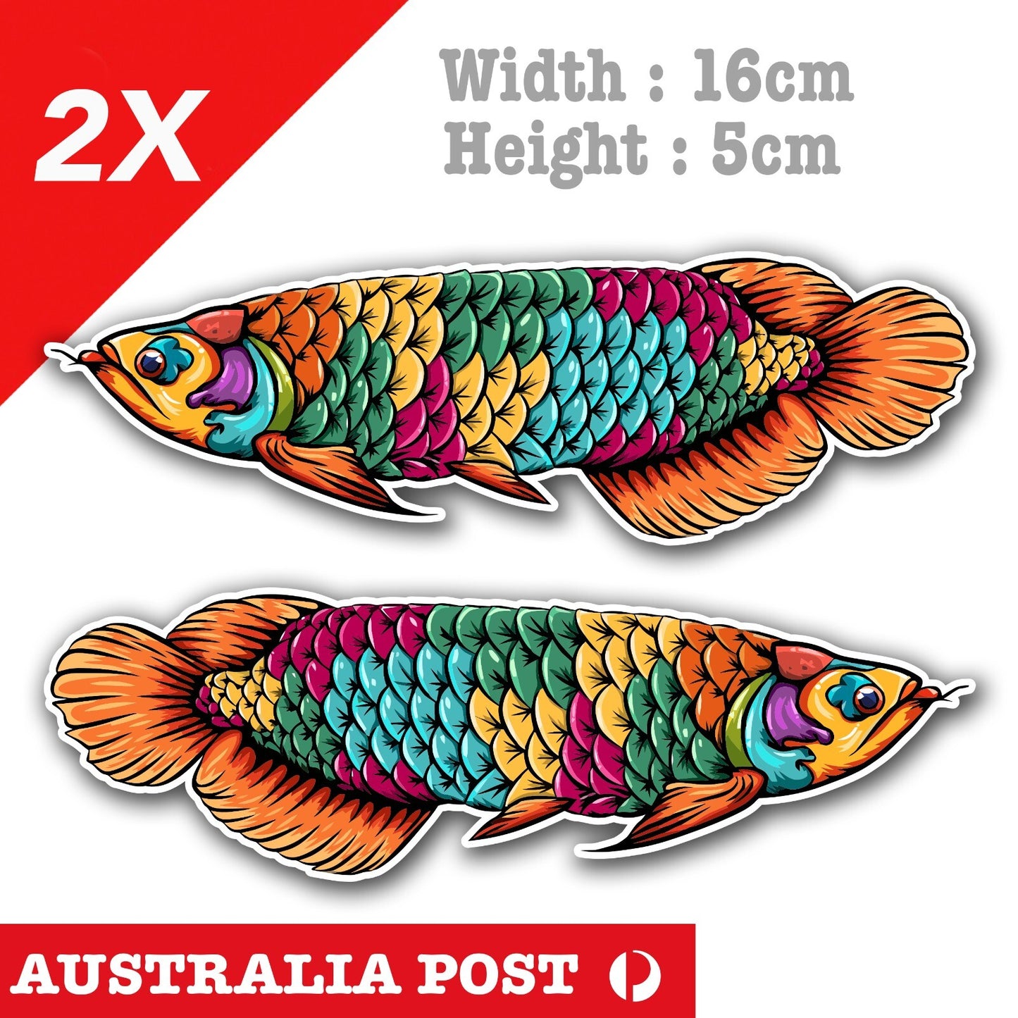 Rainbow Arowana Fish, Aquarium, Fish Tank, Fishing  Decal Sticker
